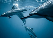 朱开：69说的对，我也想说，现在舆论环境国产教练怎么带队伍